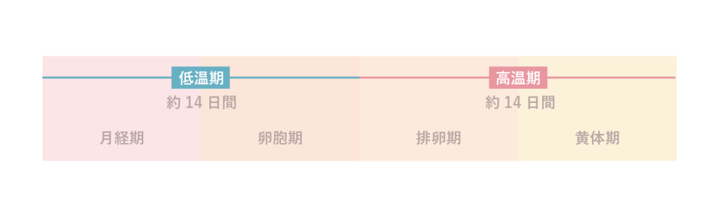 黄体期の過ごし方 生理前は太りやすい 熱っぽい おすすめの対処法をご紹介 Nutories 栄養のすべてを伝える