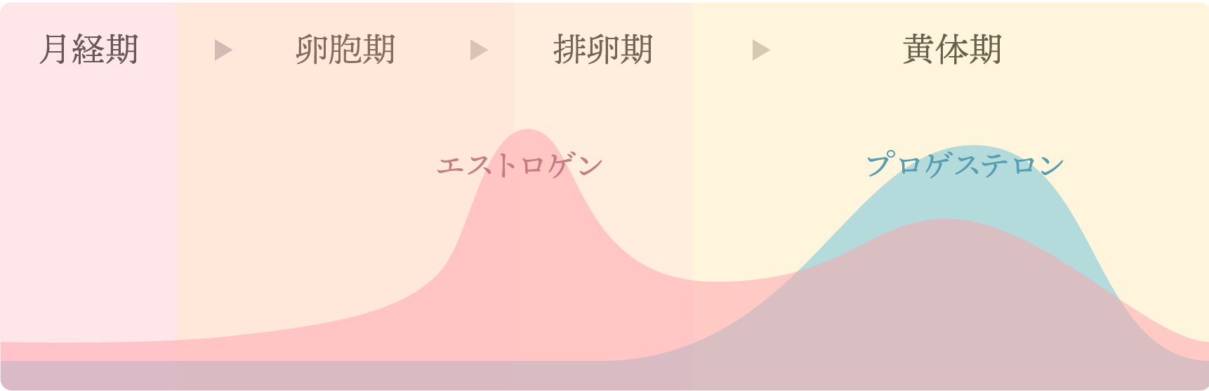 黄体期の過ごし方 生理前は太りやすい 熱っぽい おすすめの対処法をご紹介 Nutories 栄養のすべてを伝える